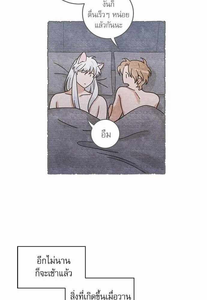 My One and Only Cat ตอนที่ 3214