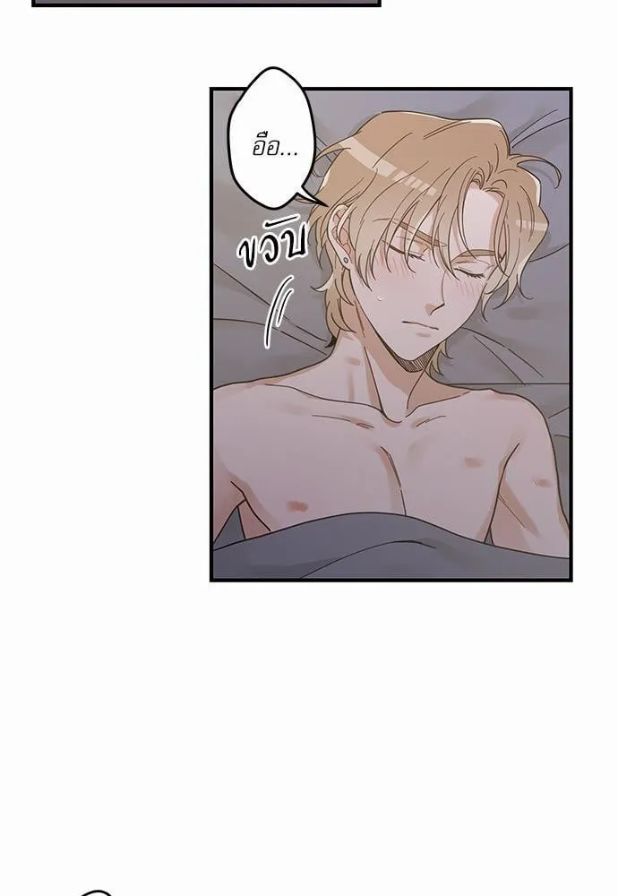 My One and Only Cat ตอนที่ 3225