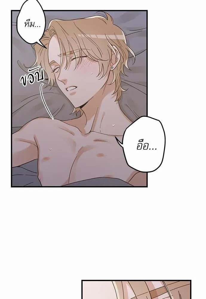 My One and Only Cat ตอนที่ 3226