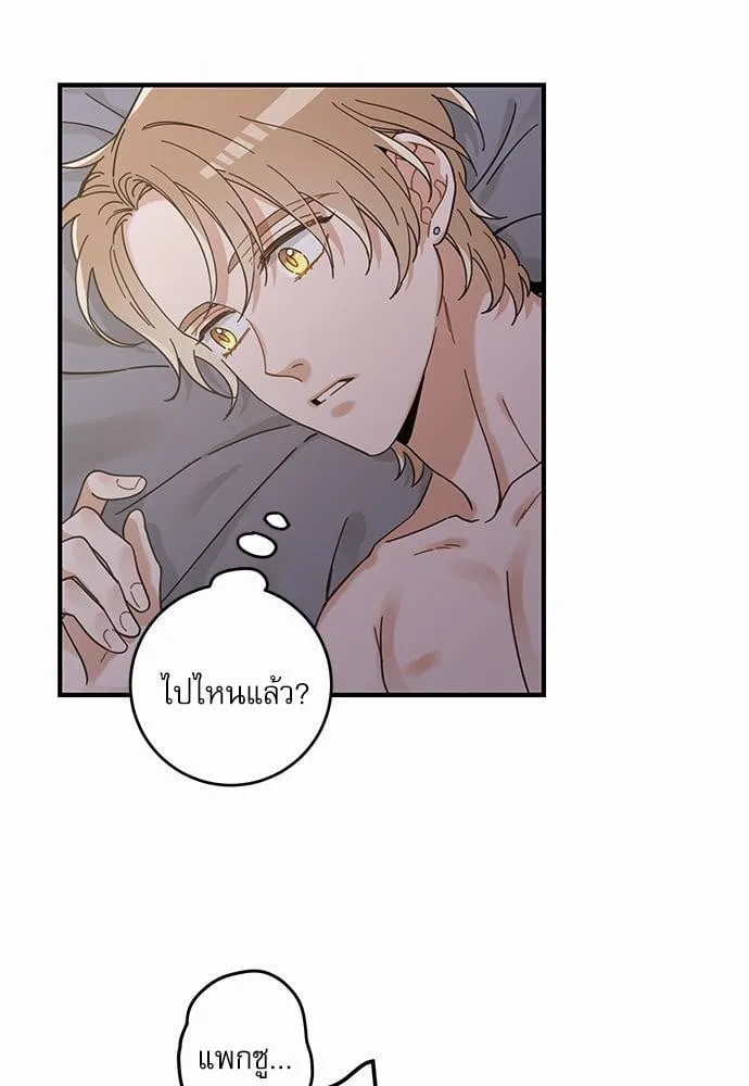 My One and Only Cat ตอนที่ 3229