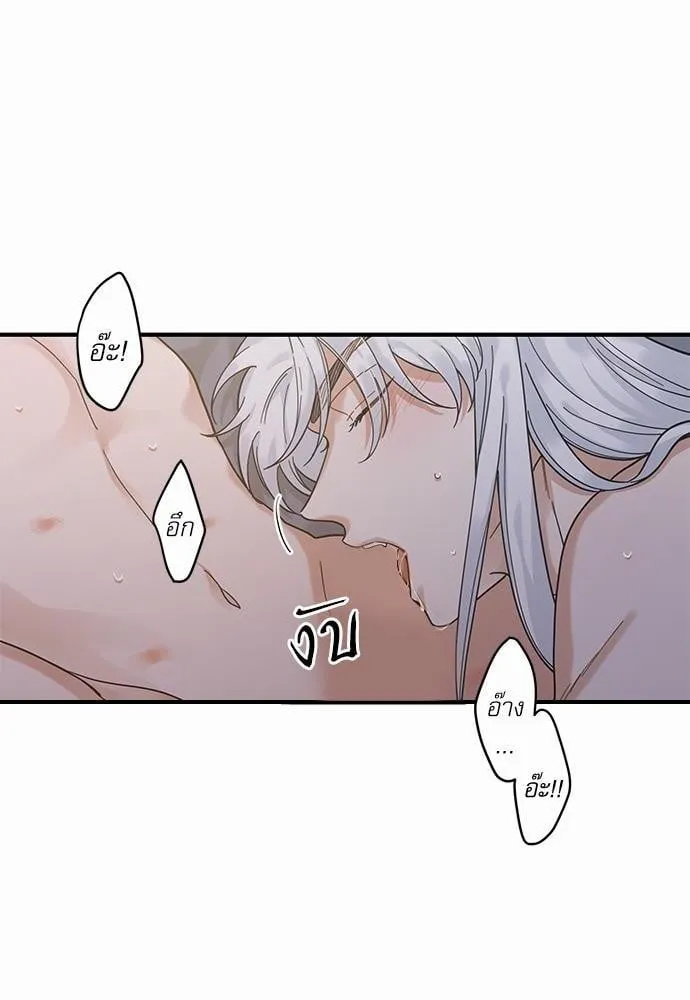 My One and Only Cat ตอนที่ 3234