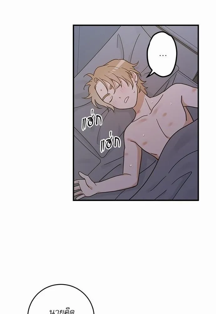 My One and Only Cat ตอนที่ 3236