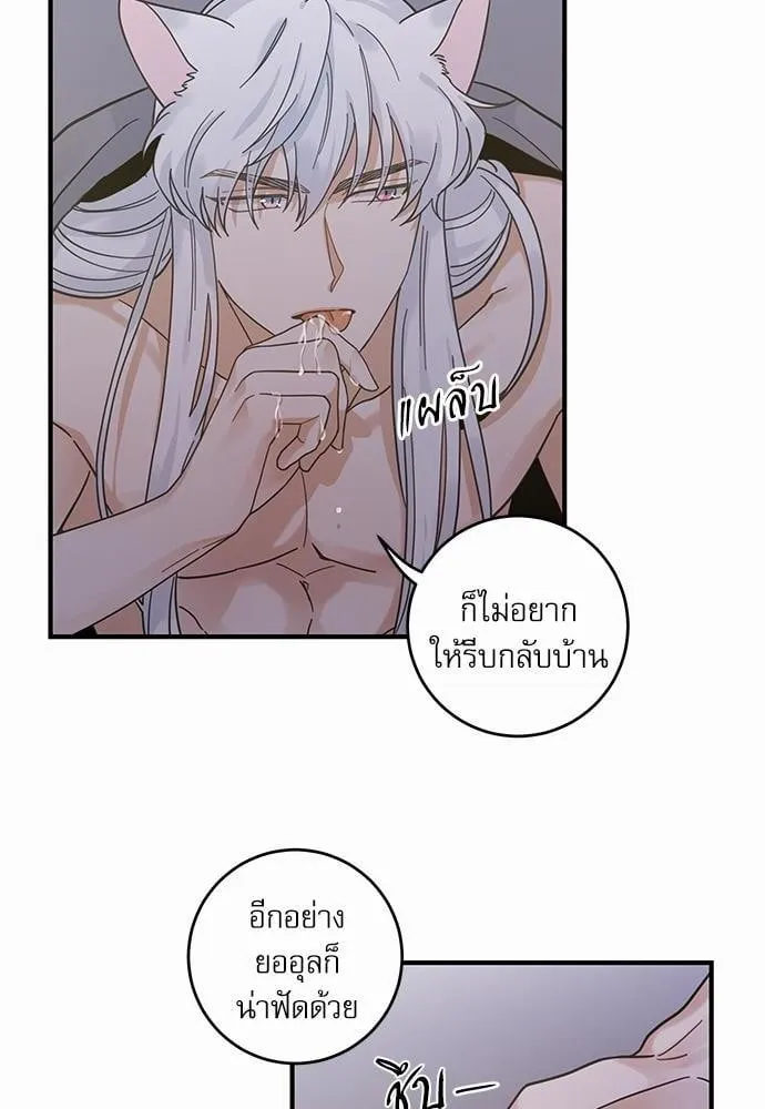 My One and Only Cat ตอนที่ 3238