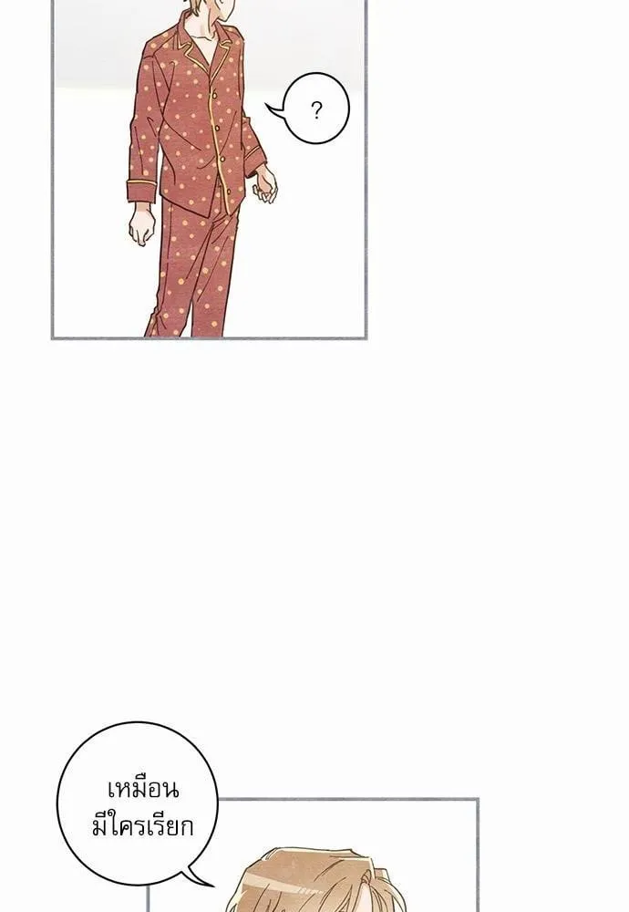 My One and Only Cat ตอนที่ 324 My One and Only Cat ตอนที่ 324