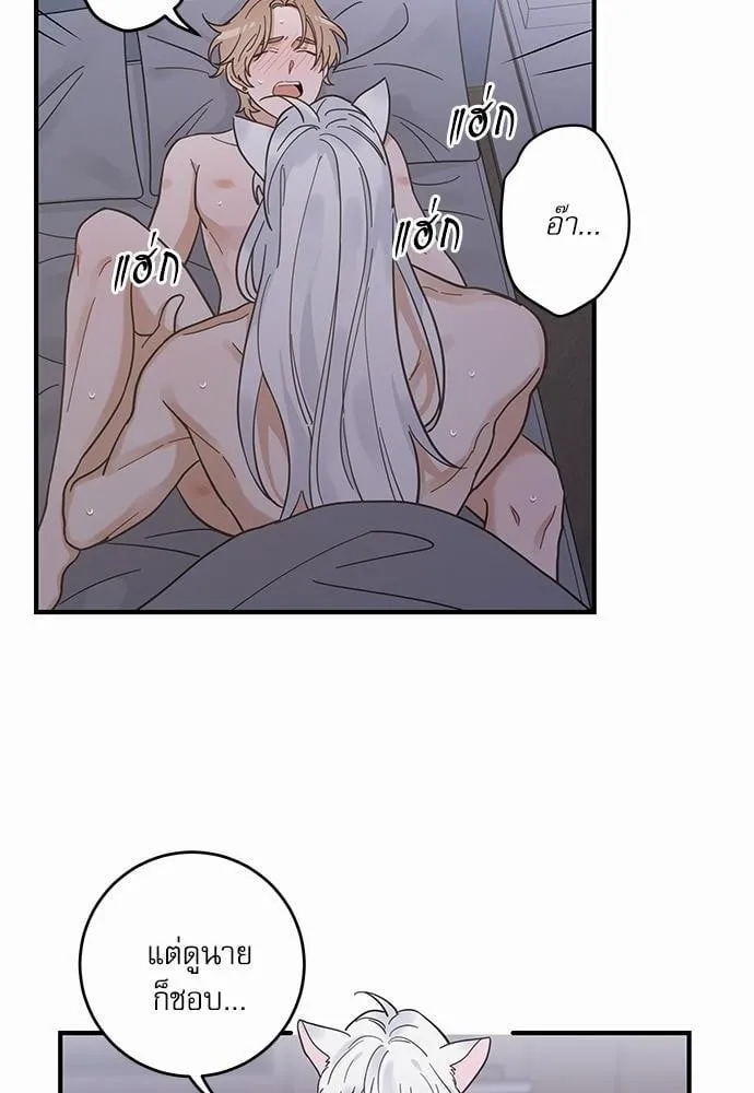 My One and Only Cat ตอนที่ 3240