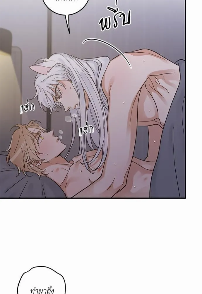 My One and Only Cat ตอนที่ 3243