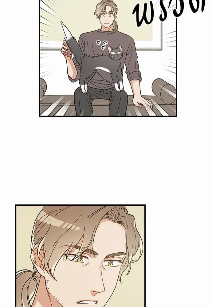 My One and Only Cat ตอนที่ 3251