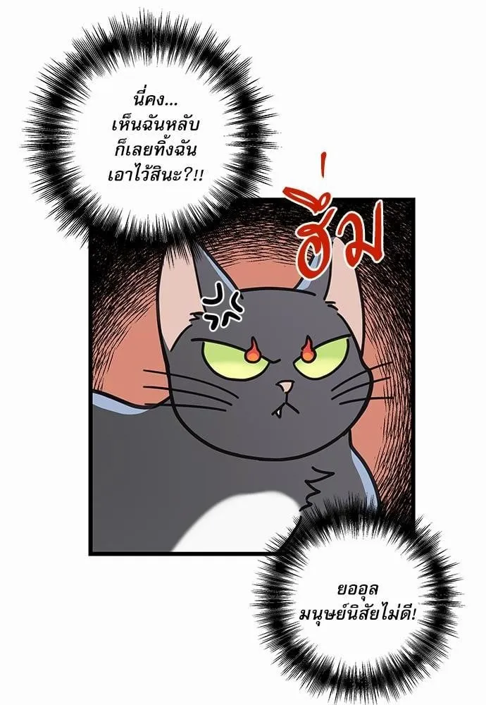 My One and Only Cat ตอนที่ 3254