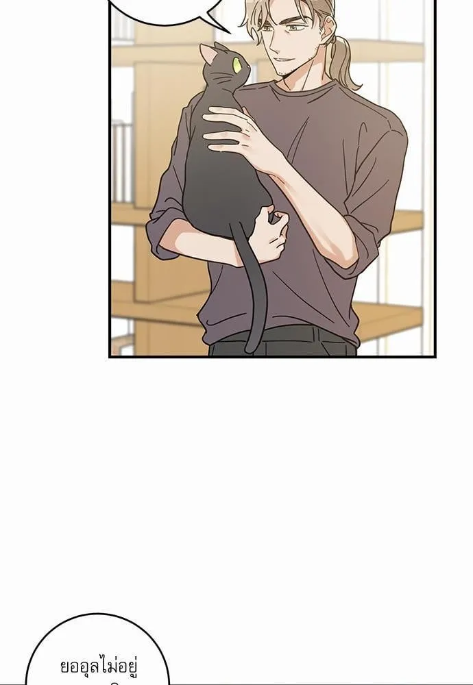 My One and Only Cat ตอนที่ 3259