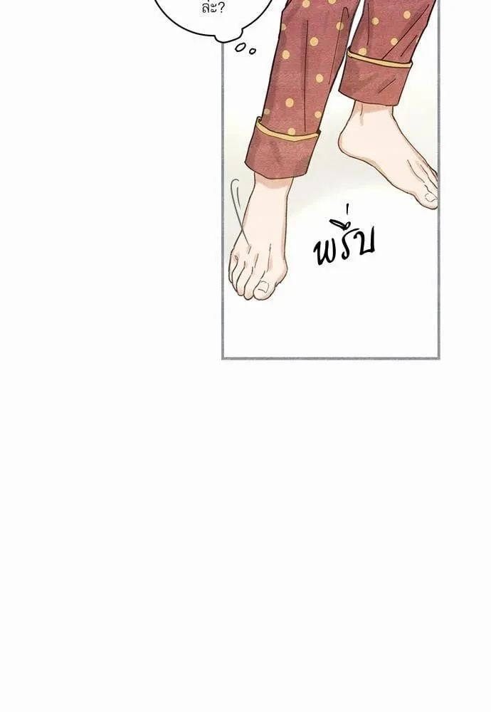 My One and Only Cat ตอนที่ 326 My One and Only Cat ตอนที่ 326