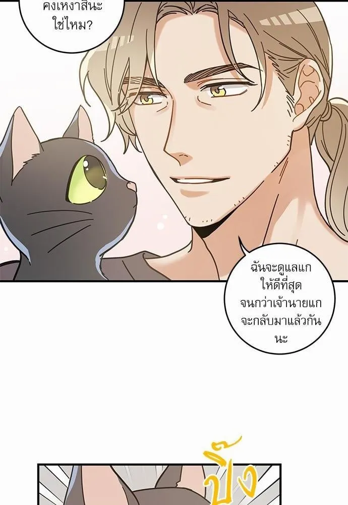 My One and Only Cat ตอนที่ 3260