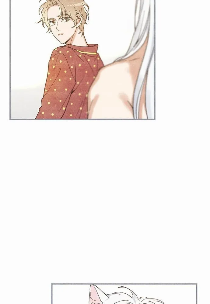 My One and Only Cat ตอนที่ 329 My One and Only Cat ตอนที่ 329