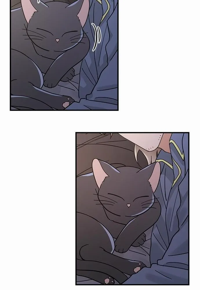 My One and Only Cat ตอนที่ 3306