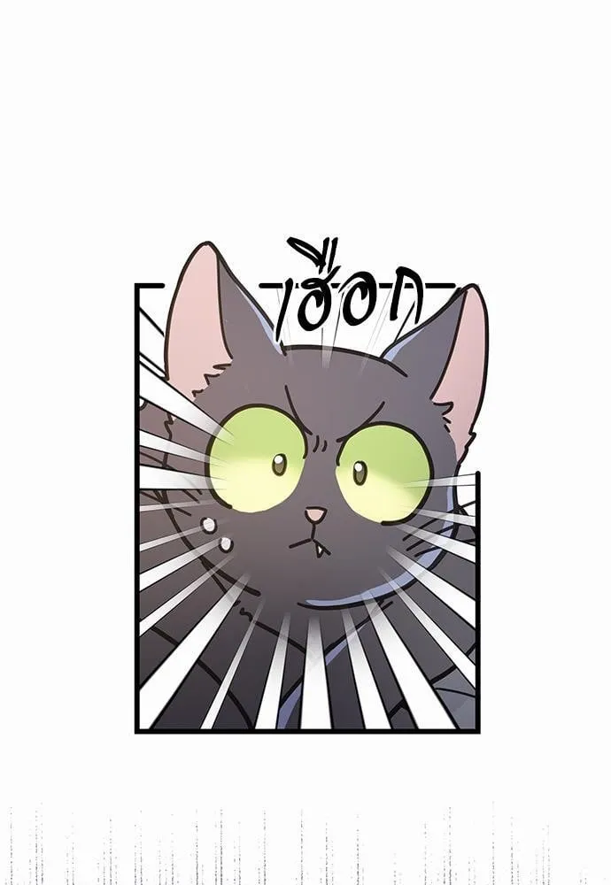 My One and Only Cat ตอนที่ 3307