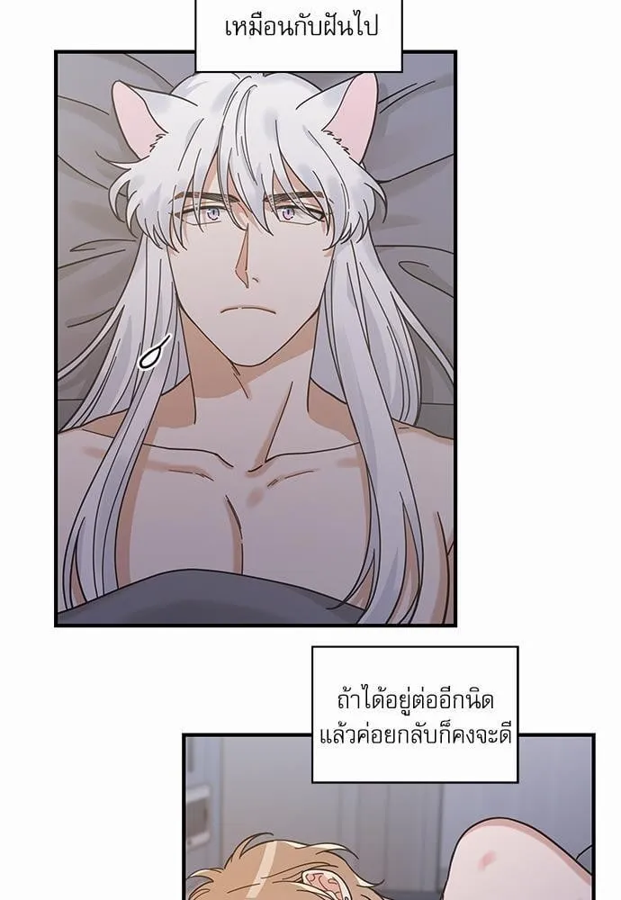 My One and Only Cat ตอนที่ 3315