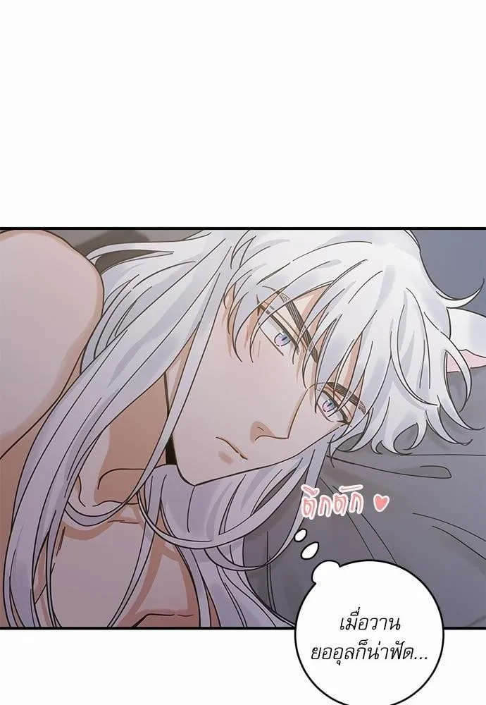 My One and Only Cat ตอนที่ 3318