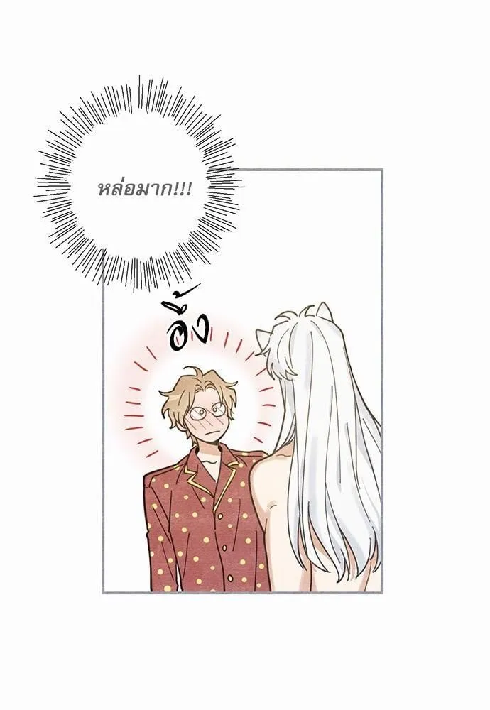 My One and Only Cat ตอนที่ 332 My One and Only Cat ตอนที่ 332