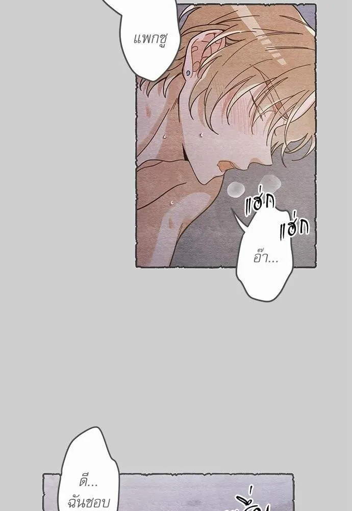 My One and Only Cat ตอนที่ 3320