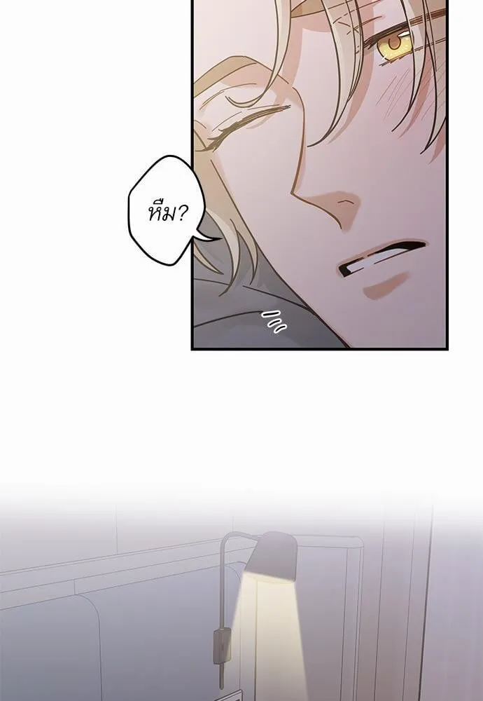 My One and Only Cat ตอนที่ 3327