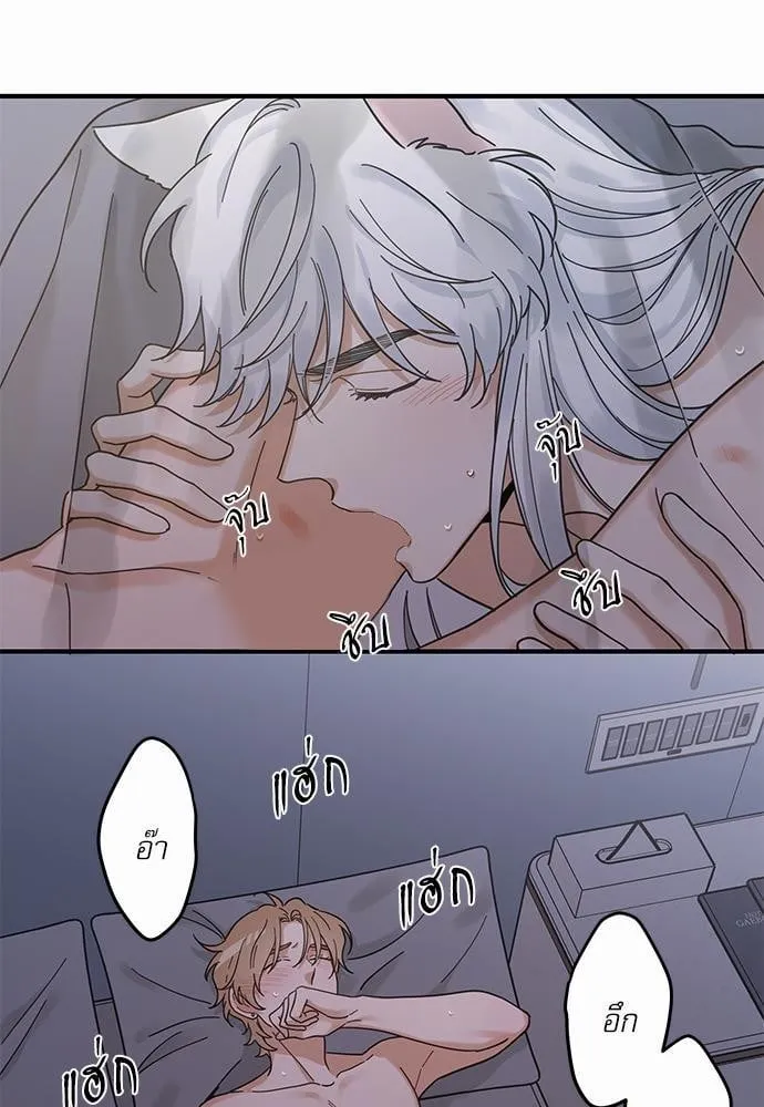 My One and Only Cat ตอนที่ 3331