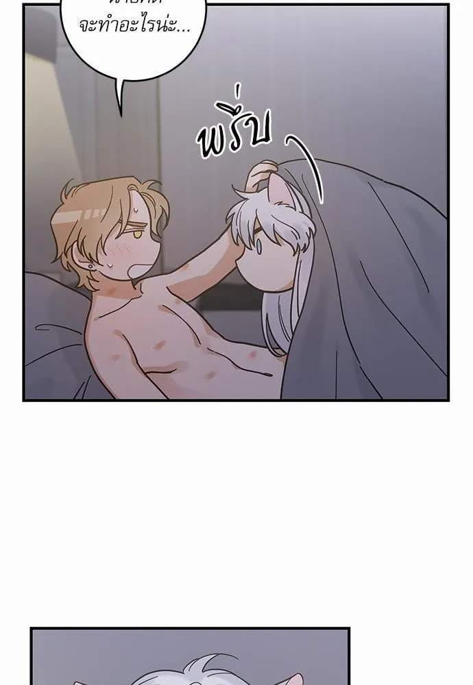 My One and Only Cat ตอนที่ 3337