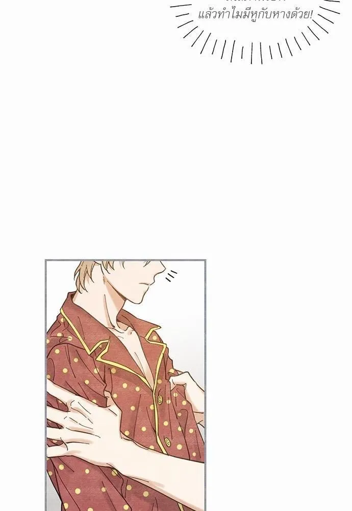 My One and Only Cat ตอนที่ 334 My One and Only Cat ตอนที่ 334