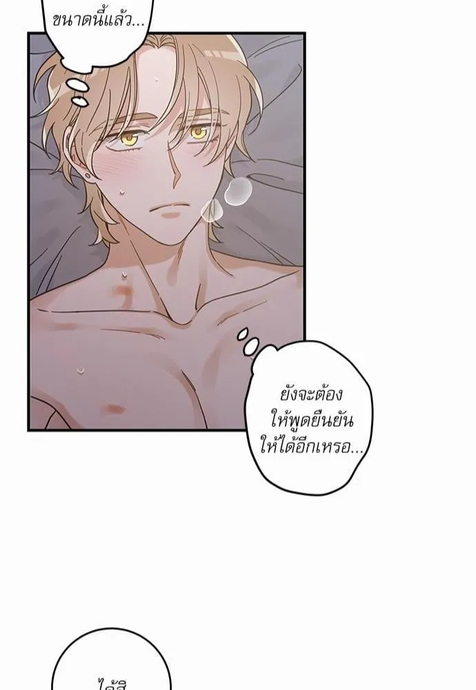 My One and Only Cat ตอนที่ 3344