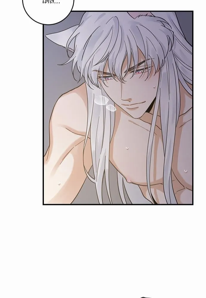 My One and Only Cat ตอนที่ 3345