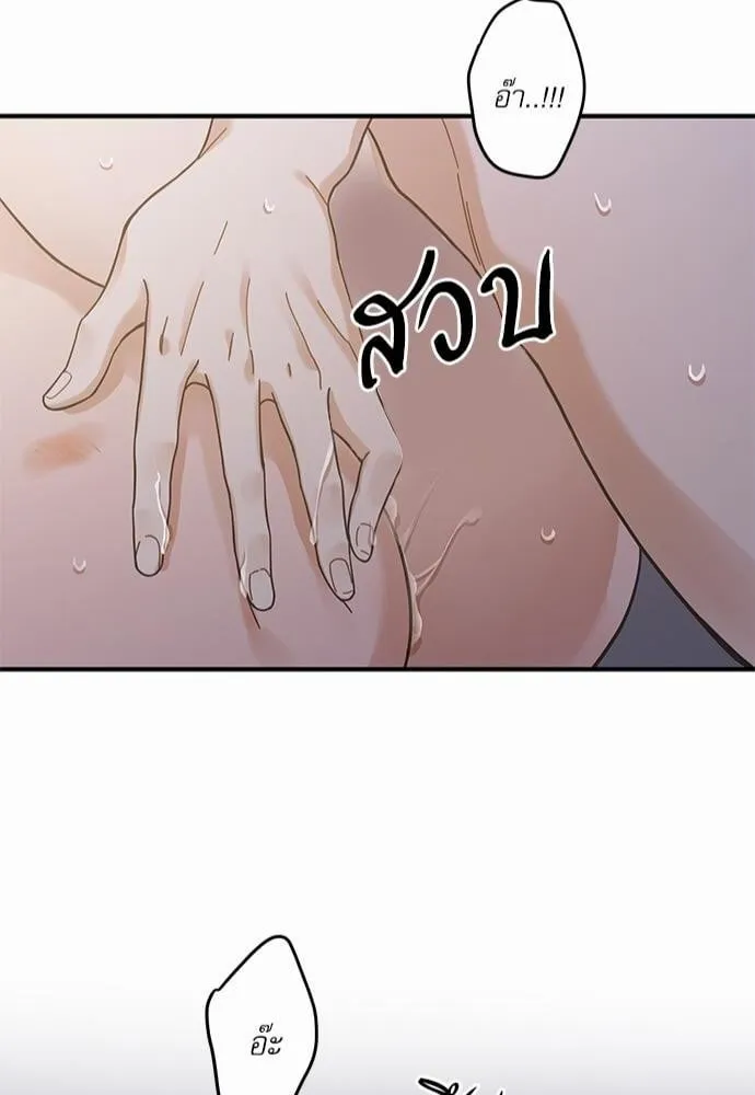 My One and Only Cat ตอนที่ 3346