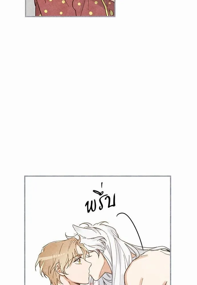 My One and Only Cat ตอนที่ 335 My One and Only Cat ตอนที่ 335