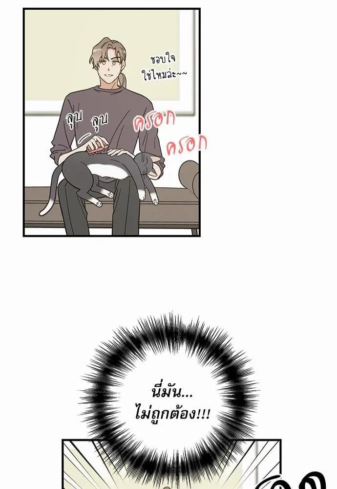 My One and Only Cat ตอนที่ 3350