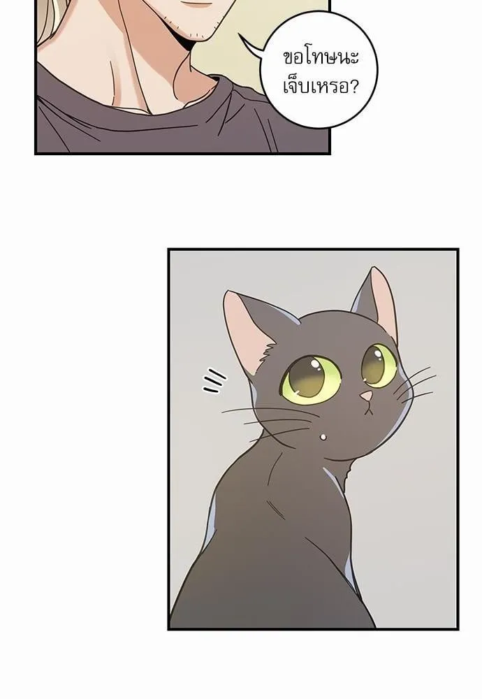 My One and Only Cat ตอนที่ 3352