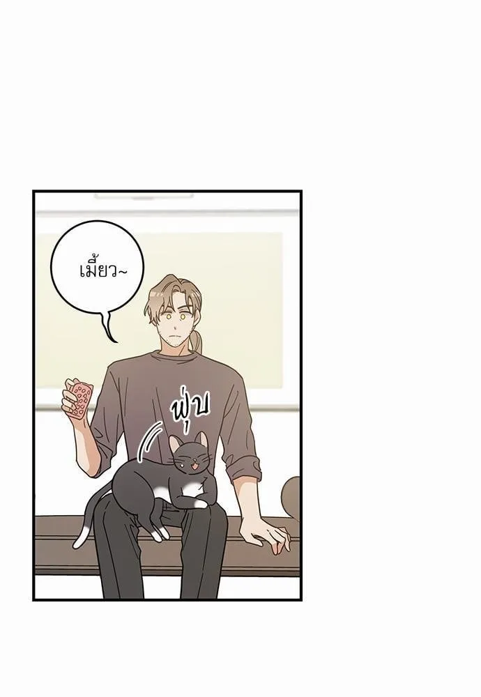 My One and Only Cat ตอนที่ 3353