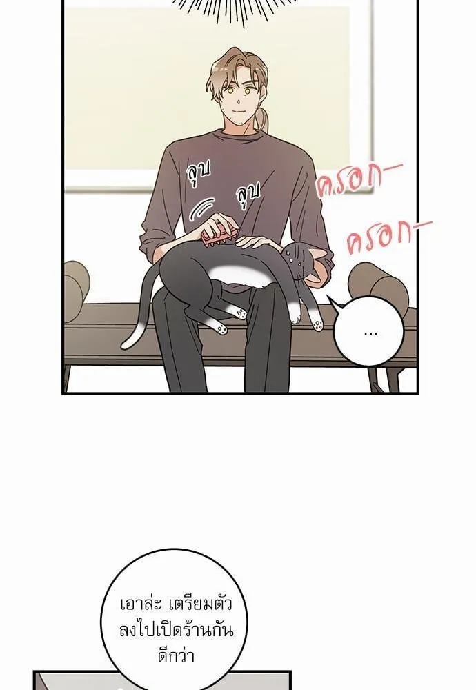 My One and Only Cat ตอนที่ 3357