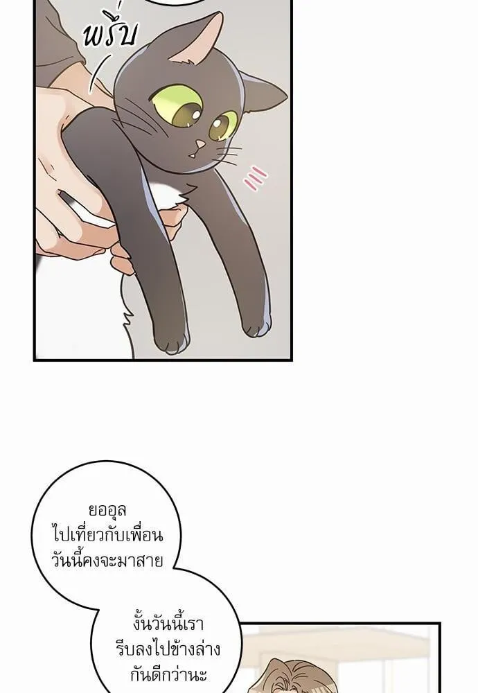 My One and Only Cat ตอนที่ 3358