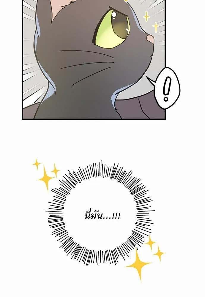 My One and Only Cat ตอนที่ 3361