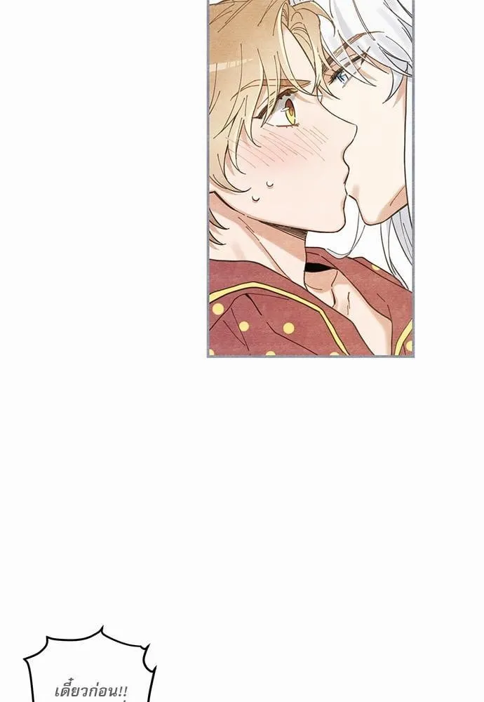 My One and Only Cat ตอนที่ 337 My One and Only Cat ตอนที่ 337