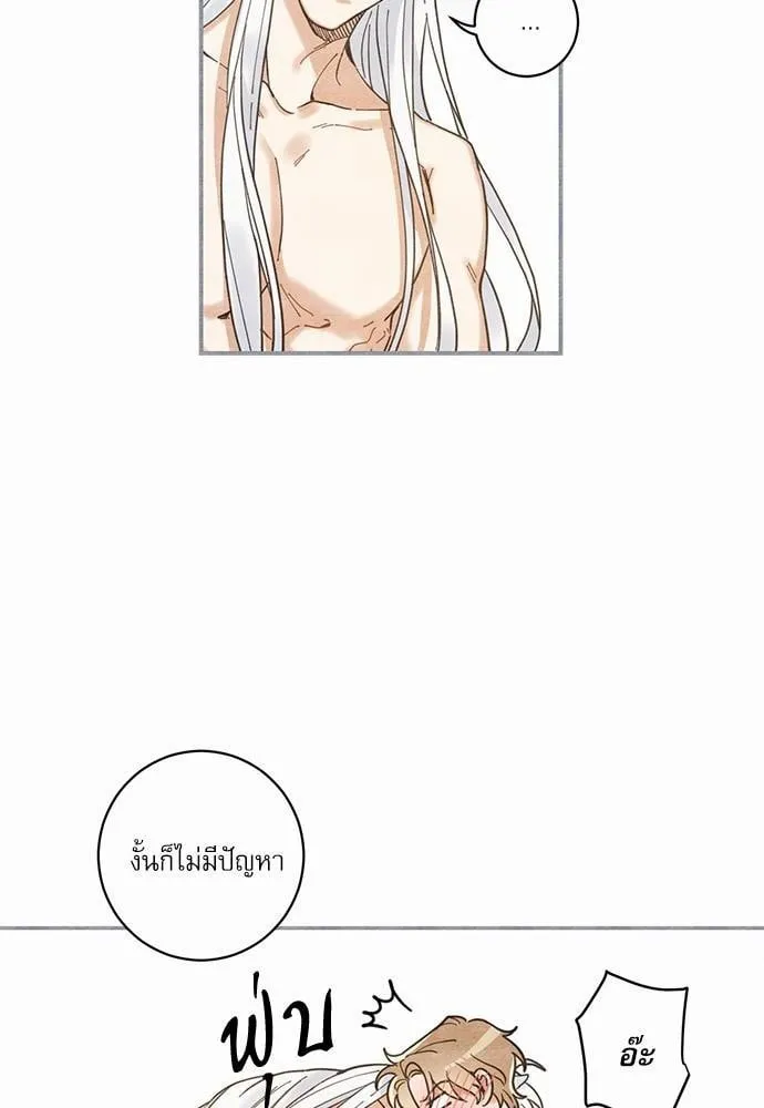 My One and Only Cat ตอนที่ 340 My One and Only Cat ตอนที่ 340