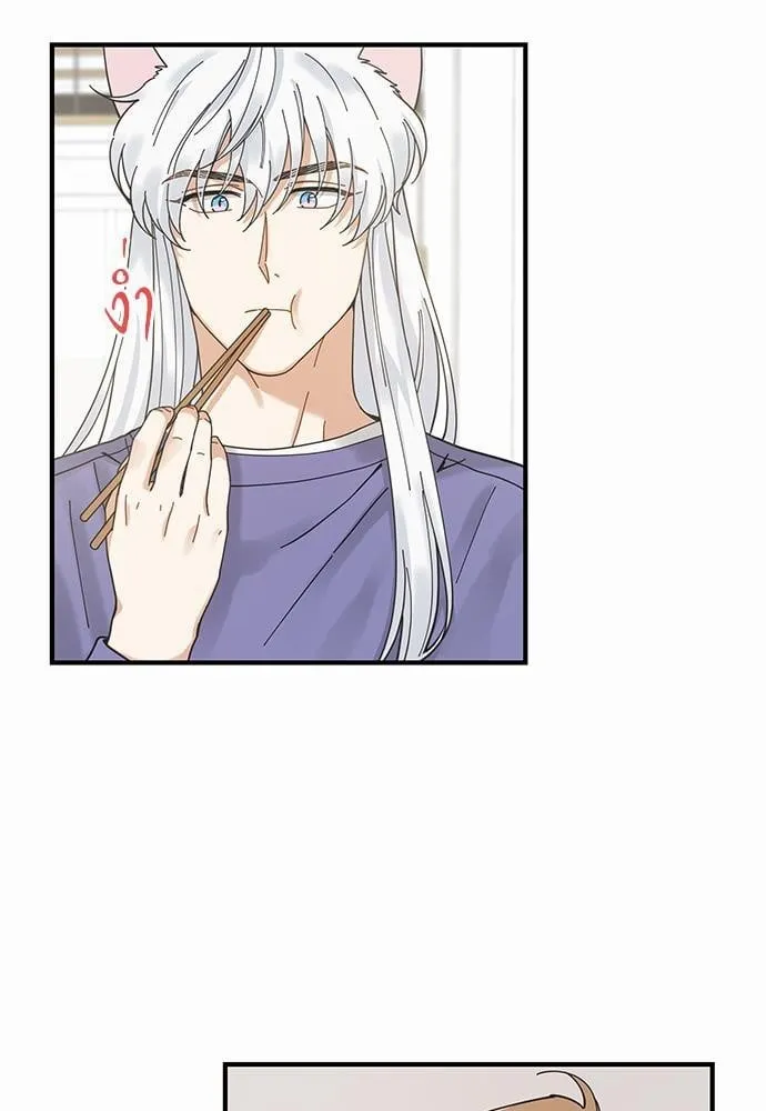 My One and Only Cat ตอนที่ 3403 My One and Only Cat ตอนที่ 3403