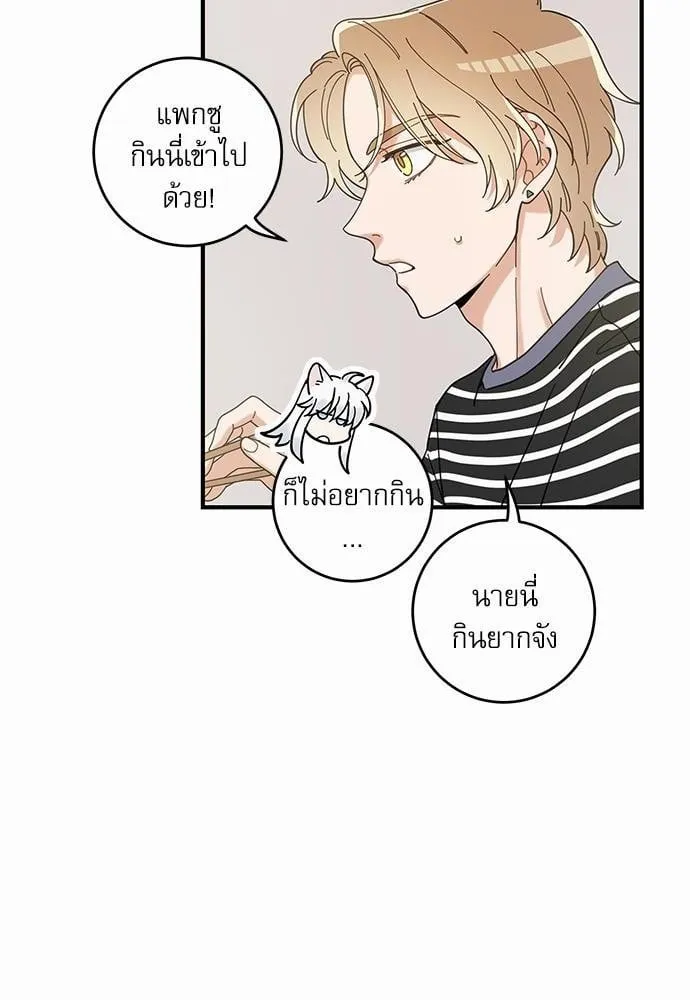 My One and Only Cat ตอนที่ 3404 My One and Only Cat ตอนที่ 3404