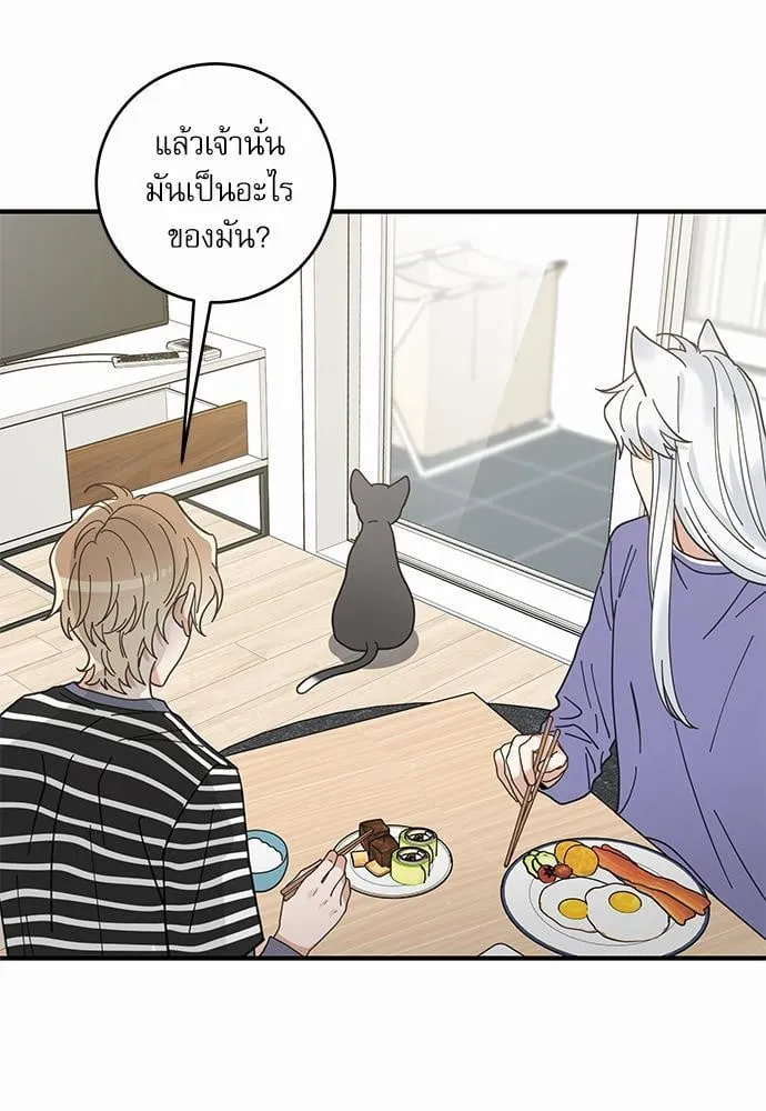 My One and Only Cat ตอนที่ 3405 My One and Only Cat ตอนที่ 3405