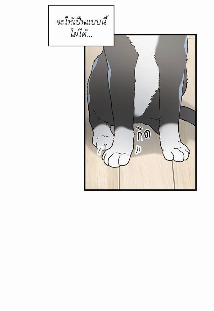 My One and Only Cat ตอนที่ 3407 My One and Only Cat ตอนที่ 3407