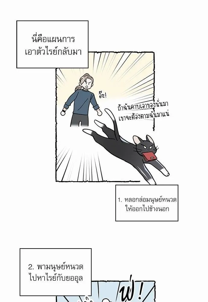 My One and Only Cat ตอนที่ 3408 My One and Only Cat ตอนที่ 3408