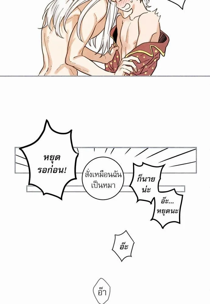 My One and Only Cat ตอนที่ 341 My One and Only Cat ตอนที่ 341