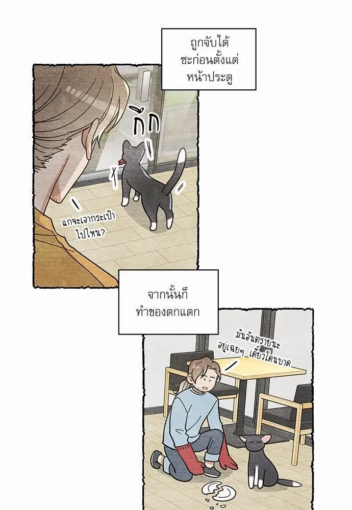 My One and Only Cat ตอนที่ 3411 My One and Only Cat ตอนที่ 3411