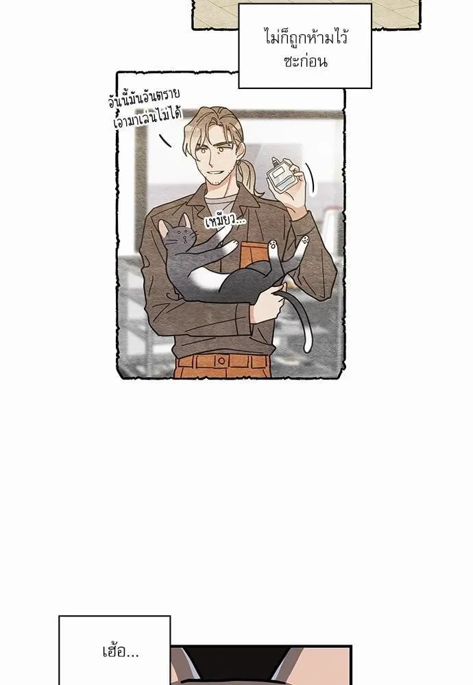 My One and Only Cat ตอนที่ 3412 My One and Only Cat ตอนที่ 3412