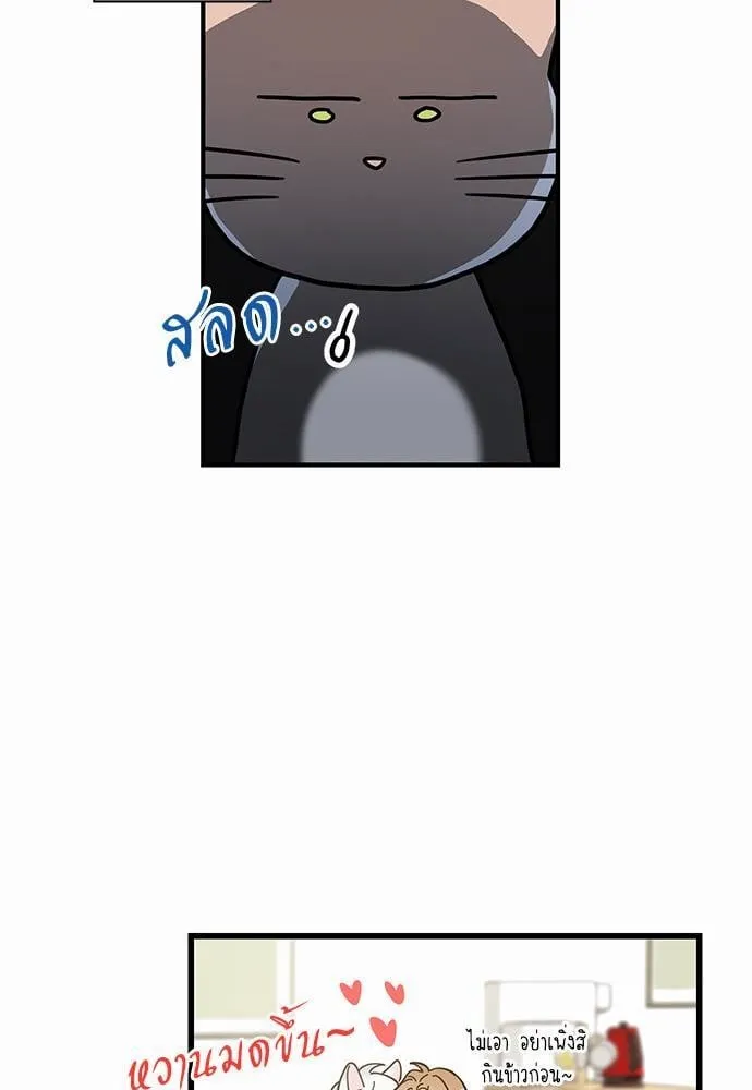 My One and Only Cat ตอนที่ 3413 My One and Only Cat ตอนที่ 3413