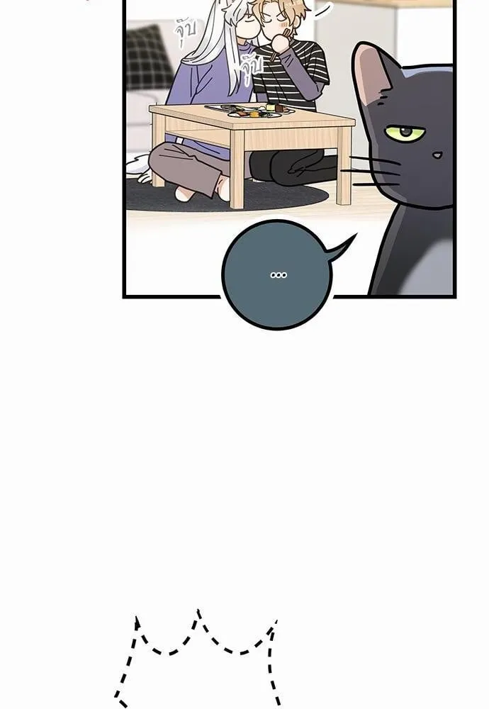 My One and Only Cat ตอนที่ 3414 My One and Only Cat ตอนที่ 3414