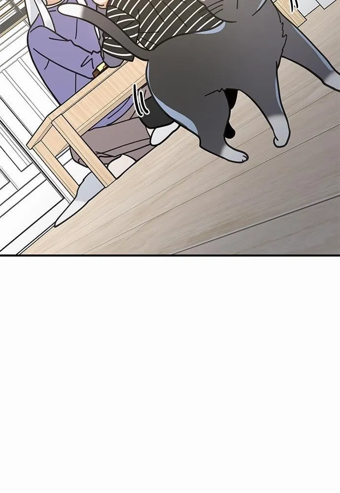 My One and Only Cat ตอนที่ 3417 My One and Only Cat ตอนที่ 3417