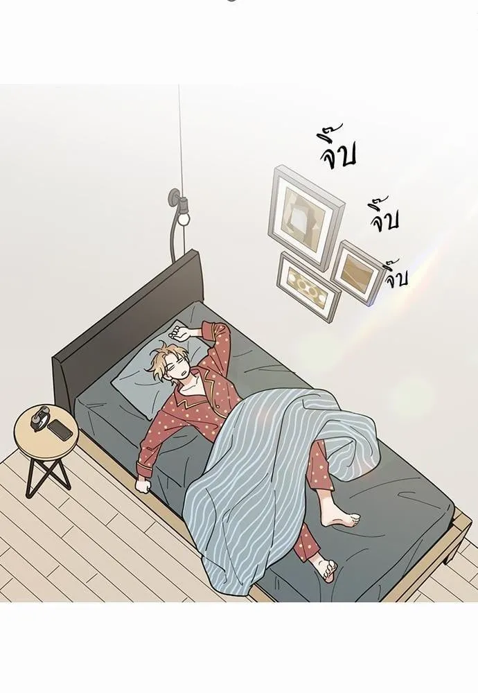 My One and Only Cat ตอนที่ 342 My One and Only Cat ตอนที่ 342